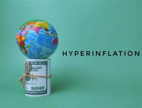 the hyperinflation survival guide the hyperinflation survival guide Reader