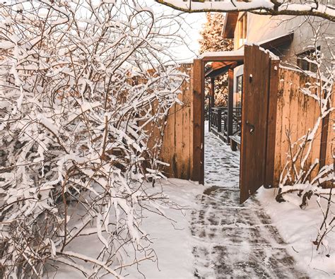 the ice path the way forward Kindle Editon