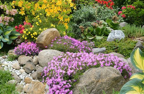 the illustrated practical guide to water and rock gardening everything you need to know to design and construct Kindle Editon