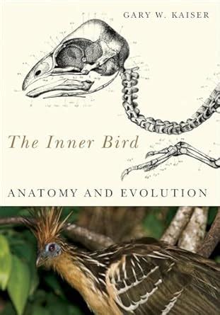 the inner bird anatomy and evolution Epub