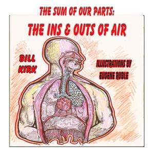 the ins and outs of air the sum of our parts Epub