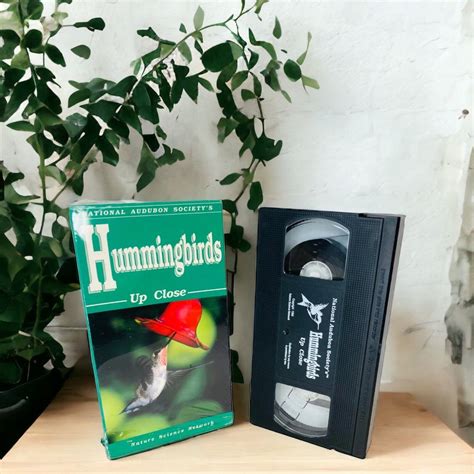 the inspiration of painting hummingbird vhs video tape Doc