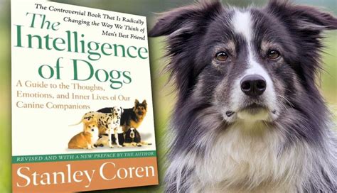 the intelligence of dogs the intelligence of dogs PDF