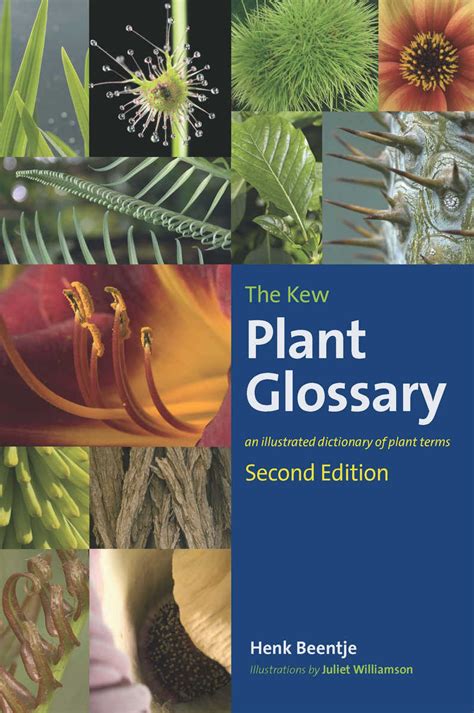 the kew plant glossary an illustrated dictionary of plant terms Doc