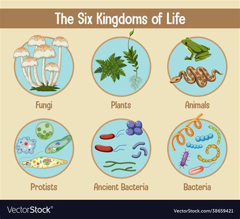 the kingdoms of life world of science come learn with me Kindle Editon