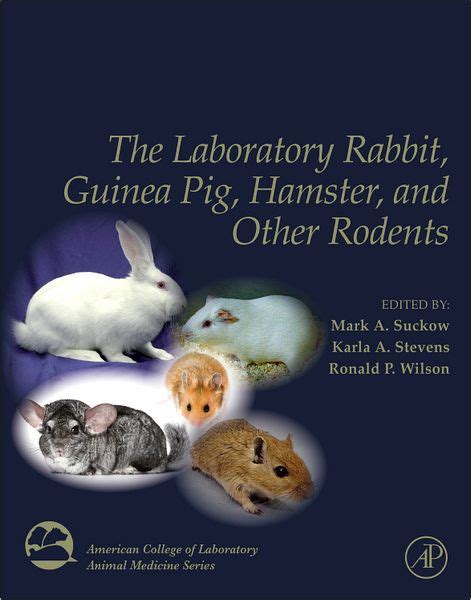 the laboratory rabbit guinea pig hamster and other rodents Reader