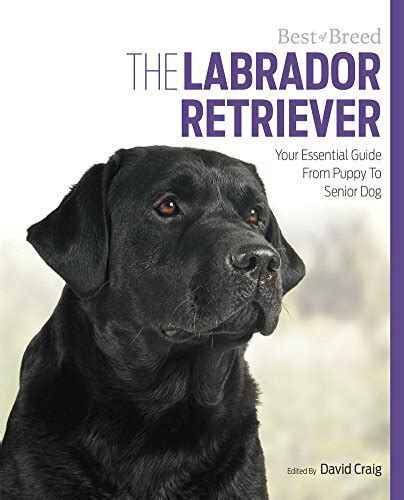 the labrador your essential guide from puppy to senior dog Kindle Editon