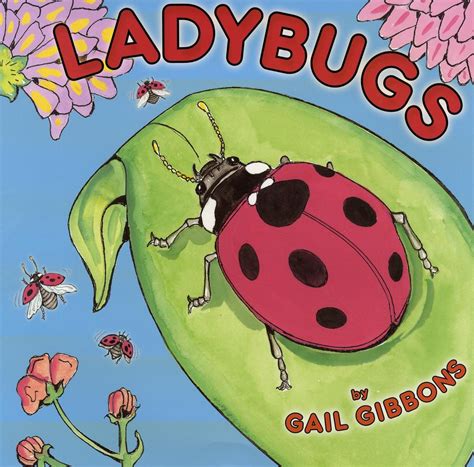 the ladybug princess a princess picture book Kindle Editon