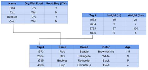 the language of sql how to access data in relational databases Doc