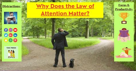 the law of attention the law of attention PDF