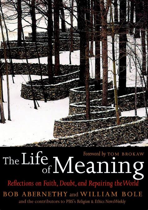 the life of meaning reflections on faith doubt and repairing the world Doc