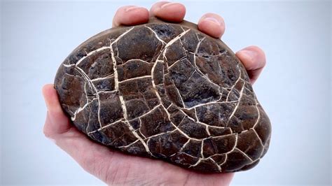 the lightning stones Epub