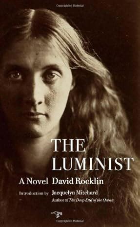 the luminist a novel Kindle Editon