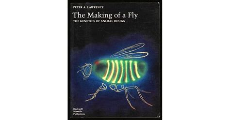 the making of a fly the genetics of animal design PDF
