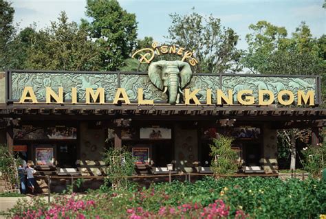 the making of disneys animal kingdom theme park Epub