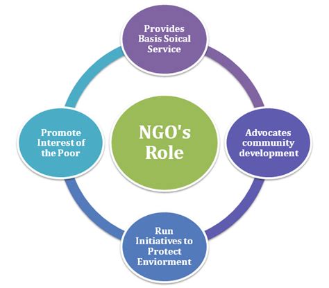 the management of non governmental development organizations Doc