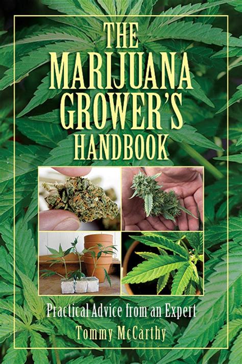 the marijuana growers handbook practical advice from an expert Reader