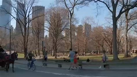 the mayor of central park Doc