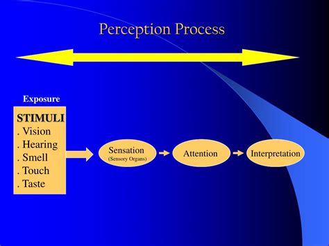 the mechanisms of perception Kindle Editon