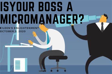 the micro manager your personal boss from hell Epub