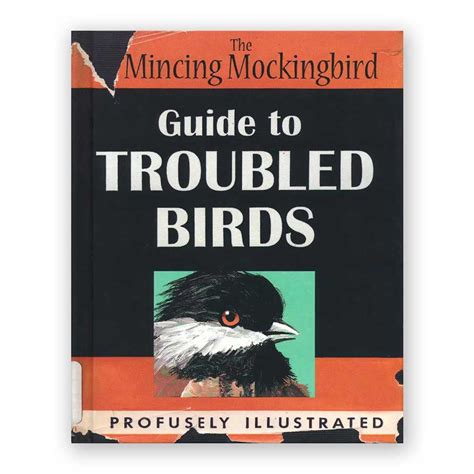 the mincing mockingbird guide to troubled birds Reader