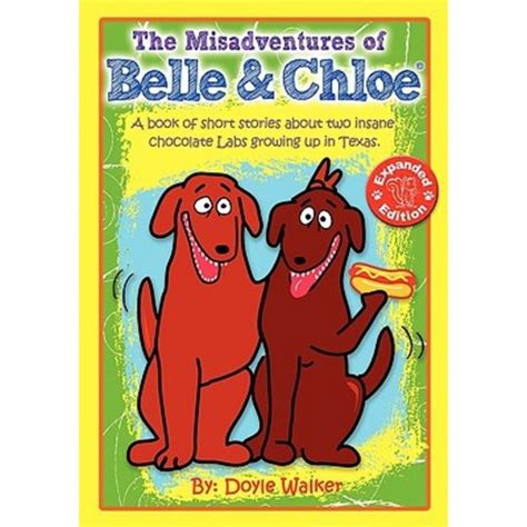 the misadventures of belle and chloe Kindle Editon