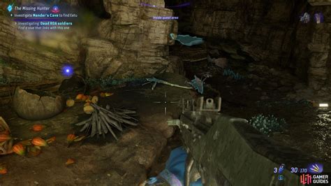 The Missing Hunter Walkthrough