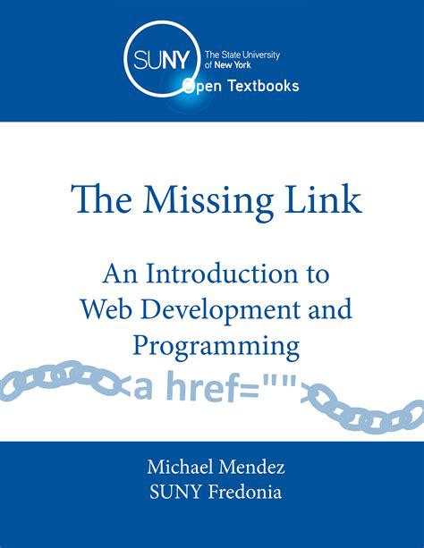 the missing link an introduction to web development and programming PDF