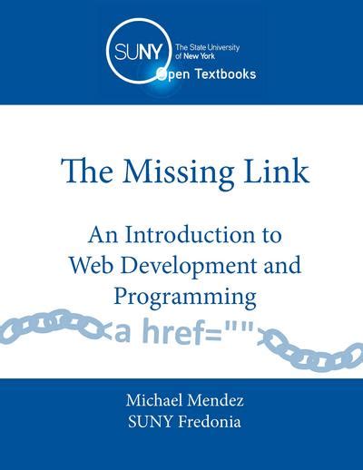 the missing link an introduction to web development and programming PDF