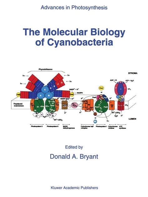 the molecular biology of cyanobacteria Reader