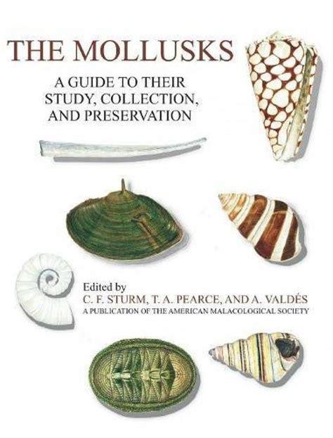 the mollusks a guide to their study collection and preservation Doc