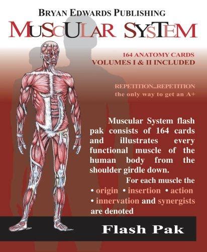 the muscular system flash paks or volumes 1 and 2 Reader