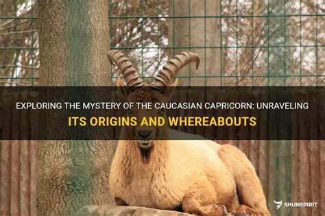 the mysteries of the caucasus PDF