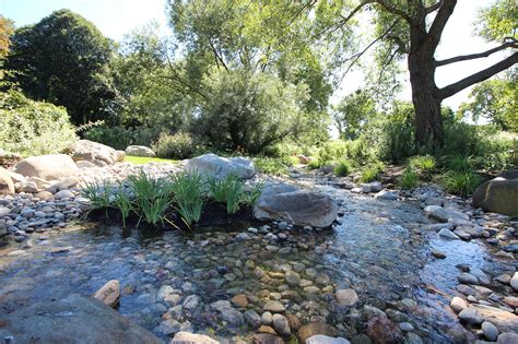 the natural water garden brooklyn botanic garden all region guide PDF