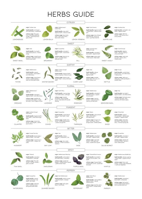 the naturalists herb guide PDF