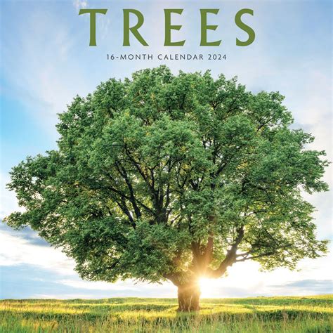 the nature of trees 2015 wall calendar Epub