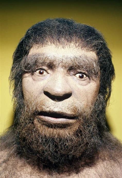 the neanderthal legacy the neanderthal legacy PDF