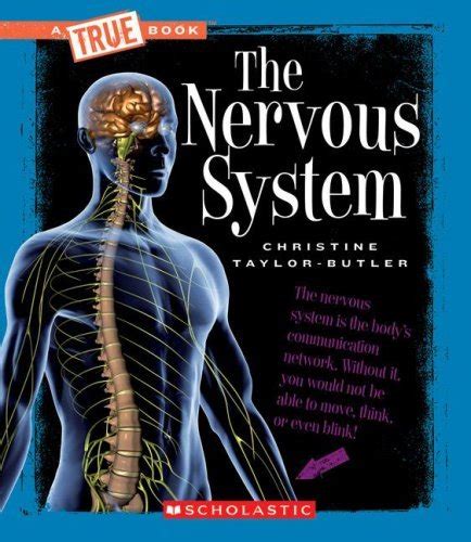 the nervous system new true books health Epub