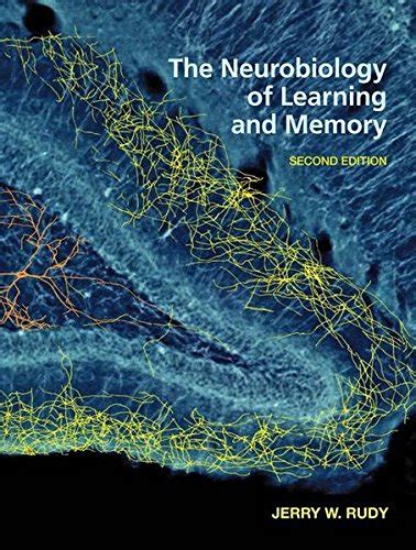 the neurobiology of learning and memory second edition PDF