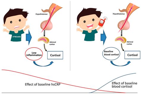 the neuroendocrine control of adaptation Kindle Editon