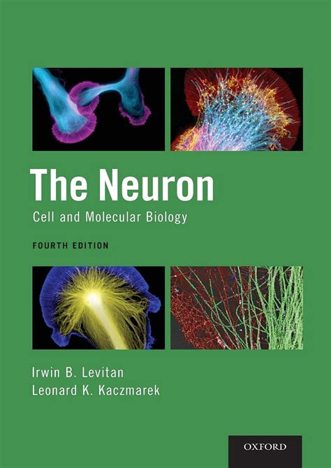 the neuron cell and molecular biology Reader