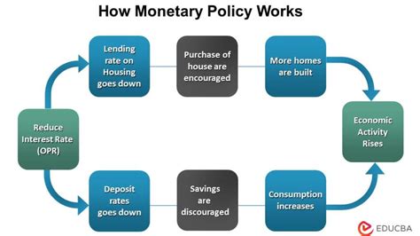the new monetary policy the new monetary policy PDF