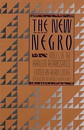 the new negro Ebook Reader