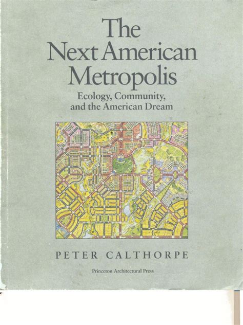 the next american metropolis Ebook PDF