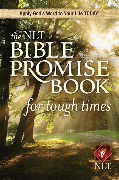 the nlt bible promise book nlt bible promise books Reader