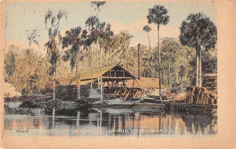 the ocklawaha river on old picture postcards Epub