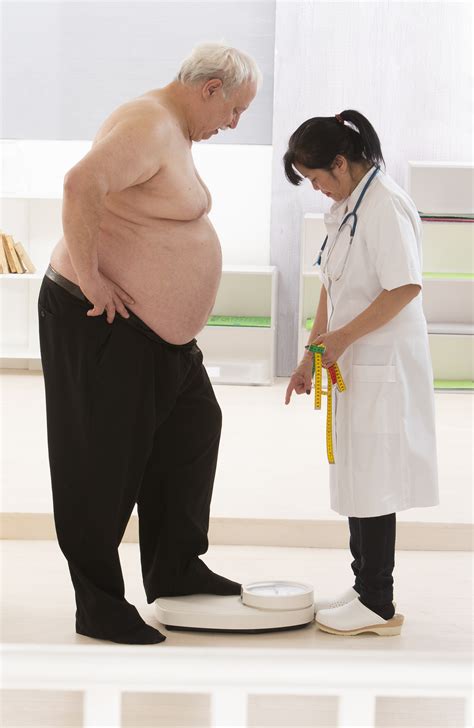 the overweight patient the overweight patient Epub