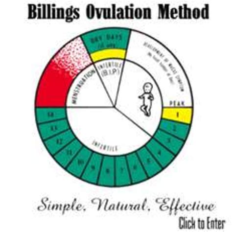 the ovulation method natural family planning PDF