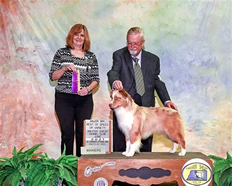 the owned by studs bundle Kindle Editon