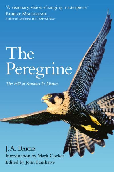 the peregrine with the hill of summer Kindle Editon